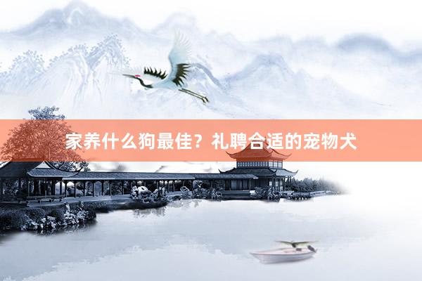 家养什么狗最佳？礼聘合适的宠物犬
